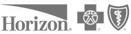 Horizon Horizon logo